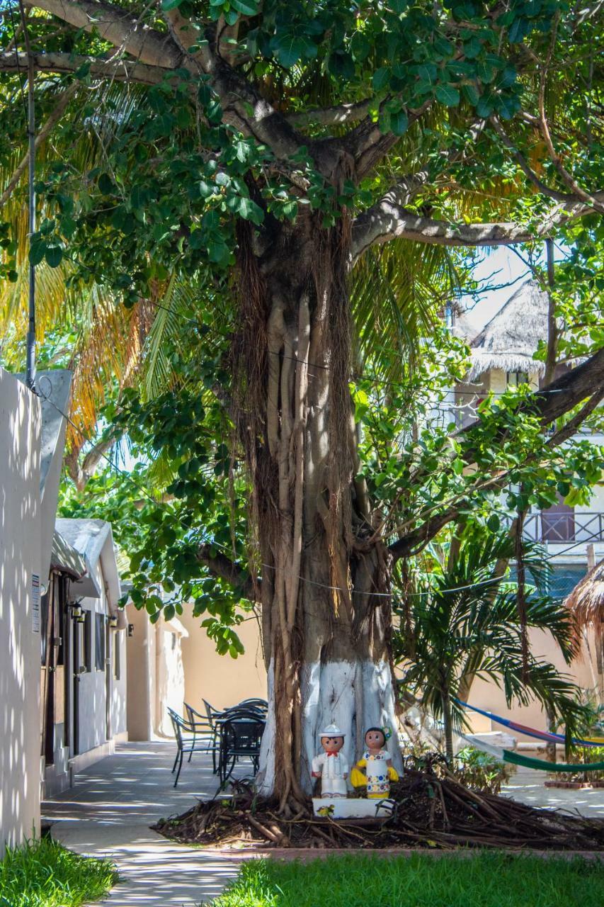 Popol Vuh (Adults Only) Playa del Carmen Exterior foto